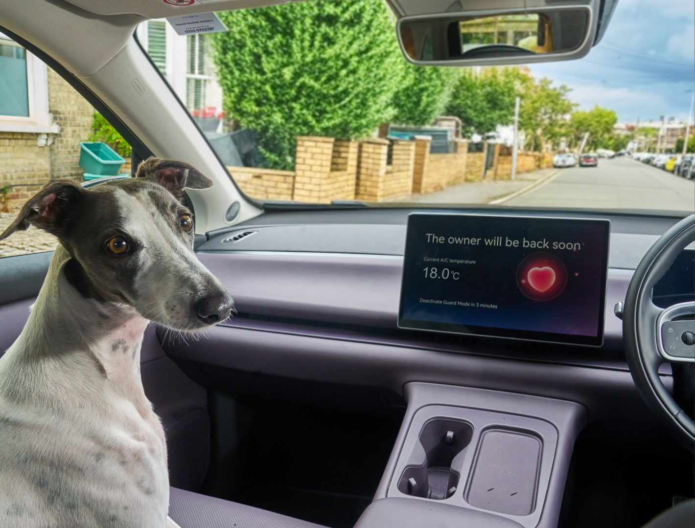 Leapmotor ‘Guard Mode’ Will Keep Your Pet Cool In The Car On Hot Days